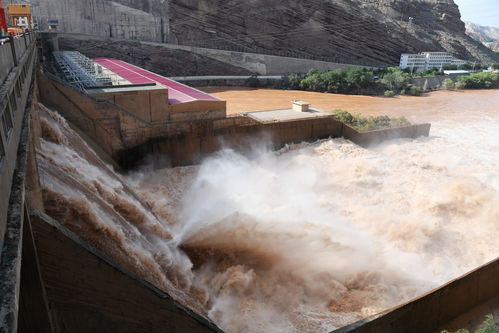 受降雨影响，黄河出现2020年第2号洪水