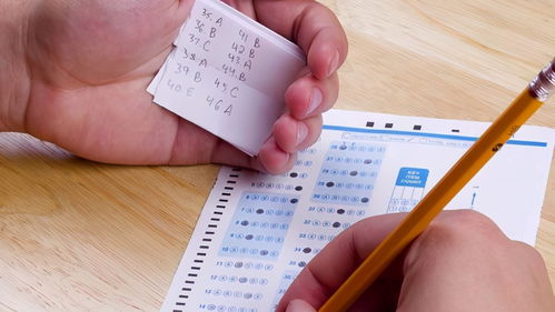 哈工大两名学生大四学生因作弊而被开除学籍，网友：会不会太重了？