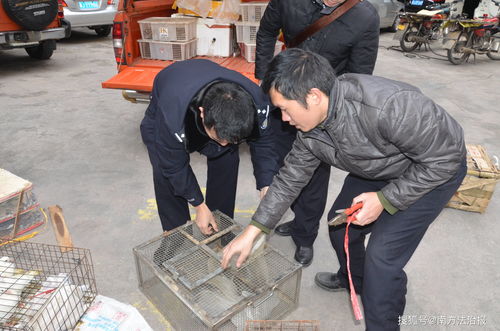 广东罗定初中生联系跳仰不慎坠楼，目前还在住院治疗
