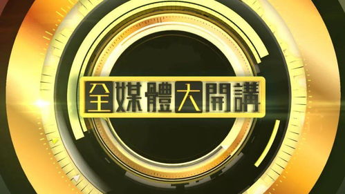 中国赴黎巴嫩维和部队待命救援