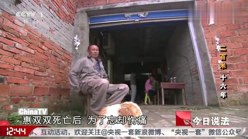 襄阳失踪女童案后续，襄阳失踪女童被翻墙逃走邻居杀害后埋尸后院