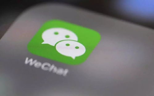 微信更新内容介绍，拍一拍可以撤回了！偶拍一拍撤回也不会留痕迹