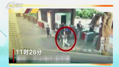 浙大女生被害案罪犯被执行死刑