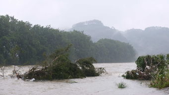 因受持续强降雨影响，四川九寨沟景区临时关闭，