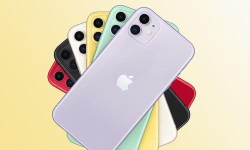 苹果iPhone11成国内最畅销机型 第二季度畅销机型TOP 5