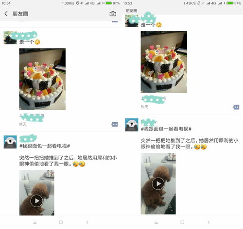 微信朋友圈“9块9”网购水果要远离：有人被坑了40万元