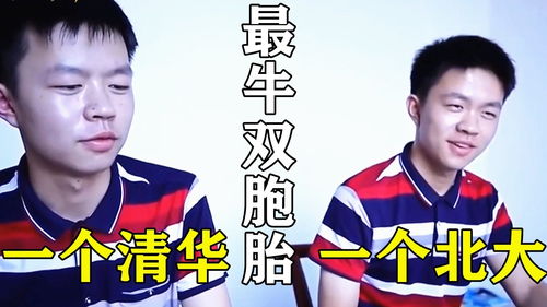 双胞胎学霸一个上清华一个上北大