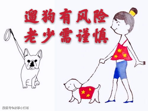 家属不追责老人被狗绳绊倒身亡：不想再提及此事