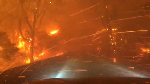 美国加州北部爆发了大规模山火，宣布进入紧急状态！苹果出手捐款