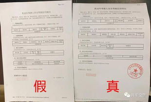 淘宝多名卖家制售假录取通知书，律师：伪造印章既可能涉嫌治安违法