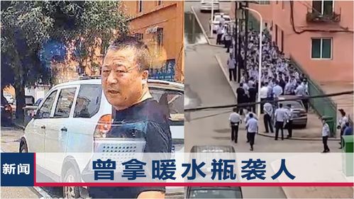 浙江舟山持刀伤人案后续，犯罪嫌疑人已坠亡