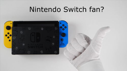 《堡垒之夜》限定Switch主机 10月30日发售