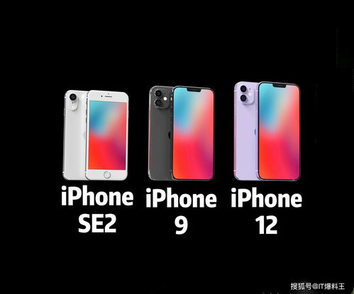 iPhone 12 mini更多细节再度曝光 各硬件均有缩水