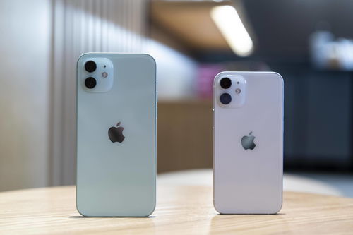 iPhone 12 mini更多细节：后置镜头缩水