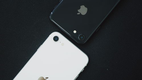 京东方或为两款iPhone 12新机提供OLED屏幕