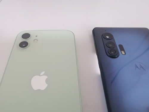 苹果iPhone12国行版哪款最值得买？iPhone12国行版各版本电商预约人数对比