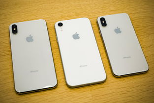 苹果iPhone12外观爆料！iPhone12和iPhone11有哪些不同？