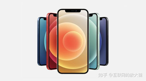 iPhone12各版本价格详细对比！iPhone12国行版怎么买最便宜？