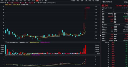 拼多多股价大涨近13% 市值超1800亿美元