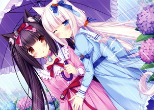 《巧克力与香子兰4》上线steam99%好评！《巧克力与香子兰4》DLC免费下载