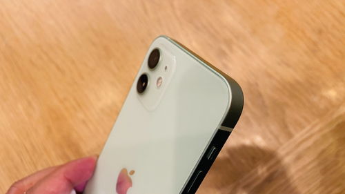 iPhone 12 物料成本曝光 约为373美元