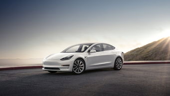 特斯拉Model 3成10月份全球最畅销电动汽车