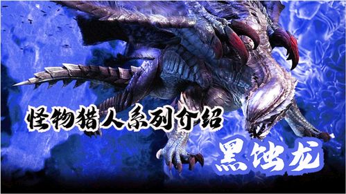《怪物猎人》电影片方向中国观众道歉