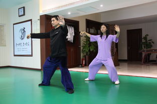 中国传统武术太极拳 列入人类非遗名录