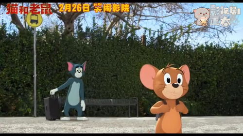 真人版《猫和老鼠》电影 将于年内上映