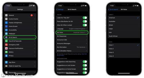 苹果 iOS 14.5支持设置第三方播放器为Siri默认播放器