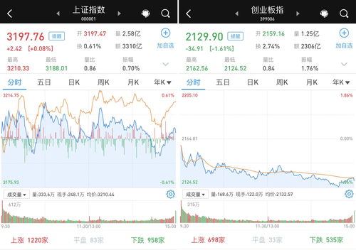 比特币疯涨！预计14万投资者惨亏61亿