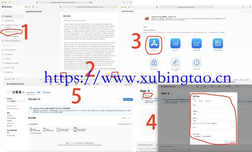 苹果发布会：新提交的App必须使用 Xcode 12和 iOS 14 SDK构建