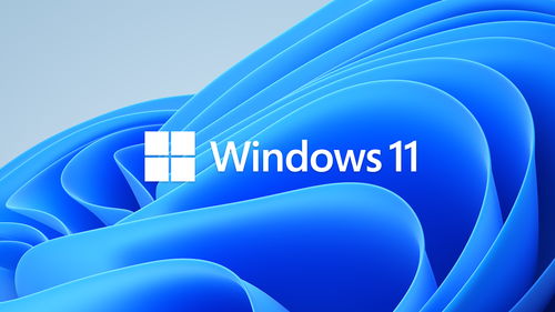 微软宣布下一代Windows系统 将于6月24日公布