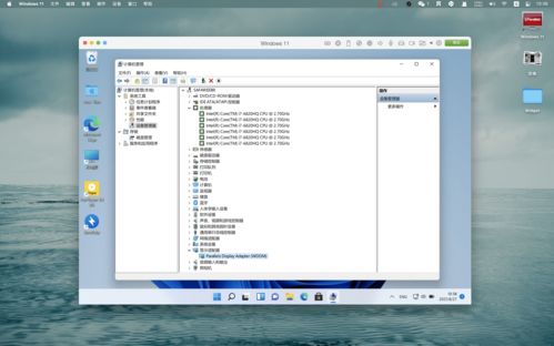 Win11初体验改进较大淡淡的macOS感觉