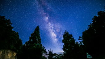 《星空》预告全为实机画面未用任何电影相机工具