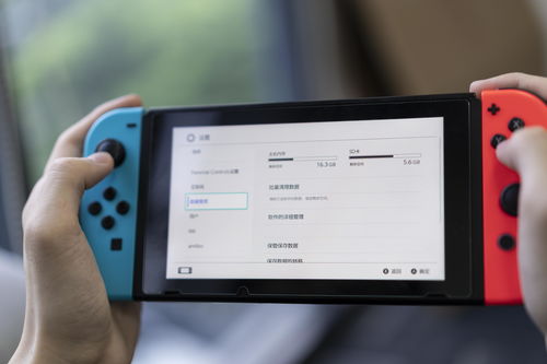 任天堂提醒新型Switch屏幕会有残像问题 预防方法不难
