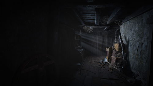 《生化危机4：VR》将免费更新佣兵模式 明年上线