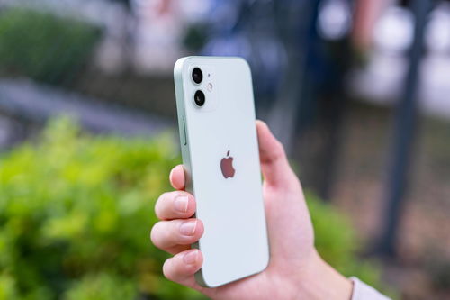 苹果明年或发布iPhone SE3价格会将低于2500