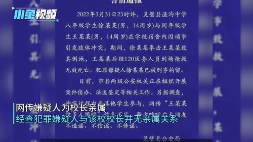 安徽灵璧县渔沟中学事件目前进展如何？灵璧县公安局发布通报，犯罪嫌疑人徐某邦已被公安机关控制