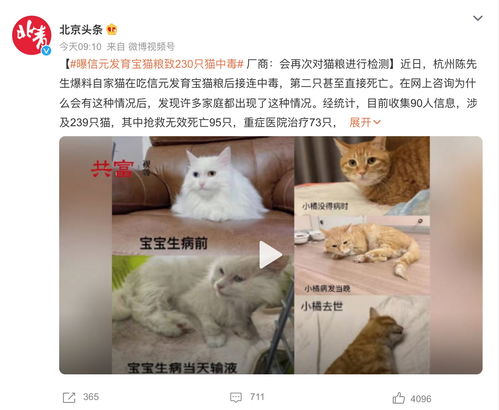 信元发育宝“饕餮”猫粮出了什么事？近百只猫咪疑似因食用后死亡，商家回复：相关产品已送检