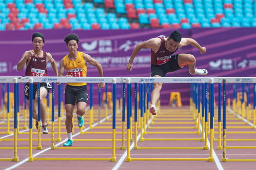 杭州亚运会举办时间确定！2023年9月至10月举行