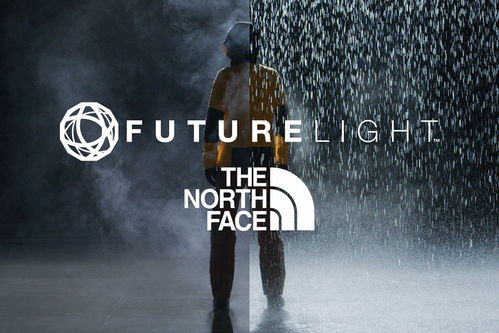 《哥谭骑士》新概念艺术图公布蝙蝠女和猫头鹰法庭