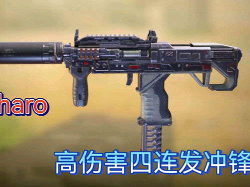 《使命召唤19》枪支汇总视频公布包含测试服未上线新枪