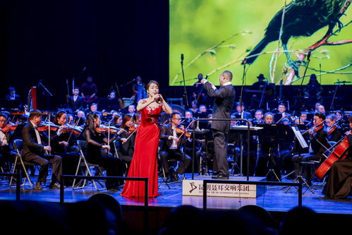 《动物森友会》和《斯普拉遁3》线上音乐会 将于周末举行