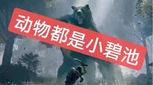 《艾尔登法环》发布“斗技场”预告片将于12月7日免费更新