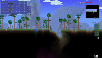 《泰拉瑞亚》官方宣布提前进入冬季休假 最终更新明年1月再开