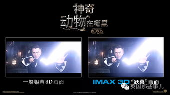 《动物派对》发布NVIDIA Reflex支持NVIDIA Reflex介绍视频