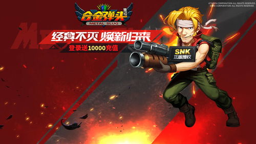 网易公司就《暴雪对国服玩家社区的更新说明》的说明