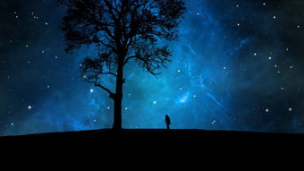 你是那夜空中最美的星星照亮我一路前行是什么歌