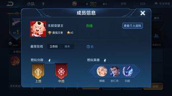 王者荣耀1月26日小兔市集代码有哪些